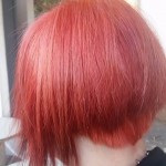 10178084_850910701591197_62791436486154433_n