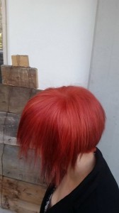 10245331_850910724924528_3761031300685907263_n