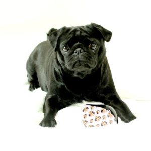 13963078_1154419954581233_2435664657974807095_o