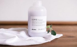 16299467_1025205757623602_4976181991148073945_n